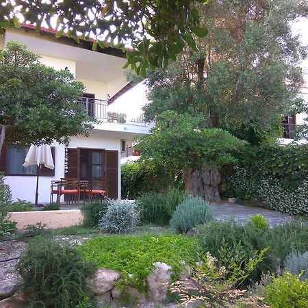 Neria Summer Houses Hanioti Esterno foto