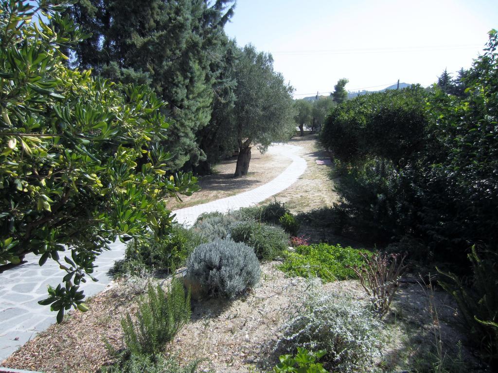 Neria Summer Houses Hanioti Esterno foto
