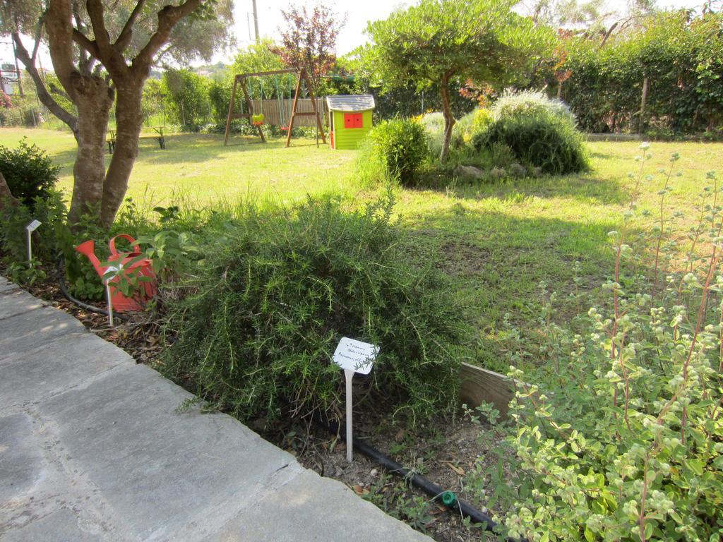 Neria Summer Houses Hanioti Esterno foto